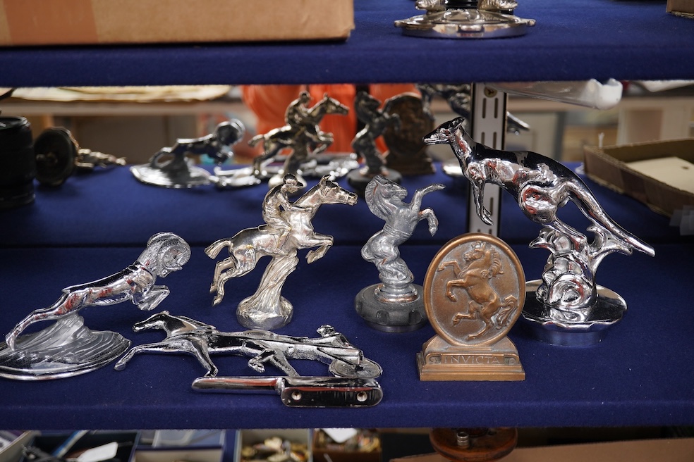 Seven brass and chrome animal related car mascots including; four horse related mascots, two Kangaroo mascots mounted on radiator caps and a leaping ram by Jarvis (no.1027). Condition - fair to good, some losses to chrom